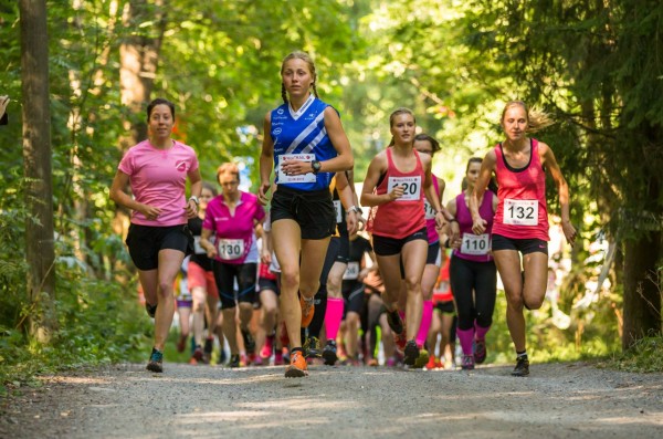 NiceTrail2.jpg