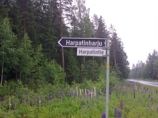 harpatti.jpg